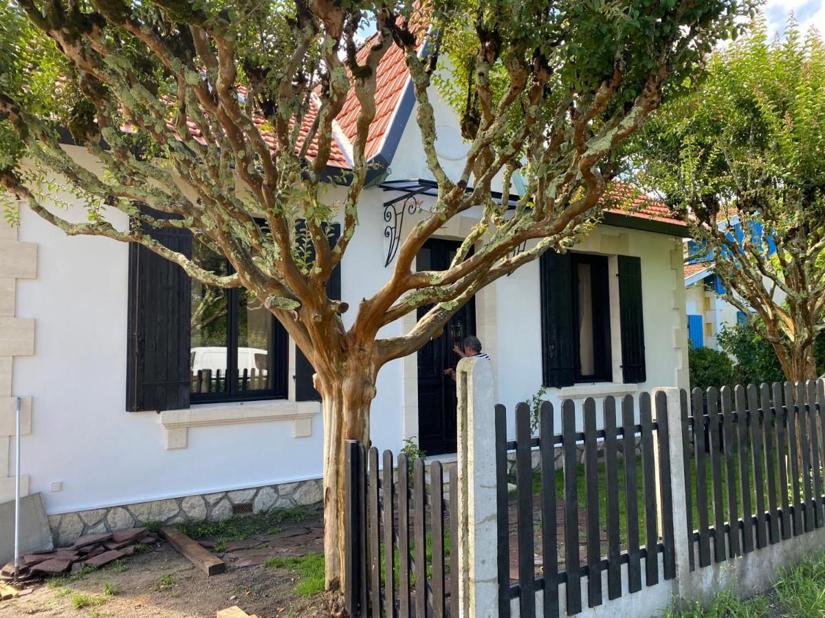 Villa Du Bassin -Un Petit Coin De Paradis Andernos-les-Bains Zewnętrze zdjęcie